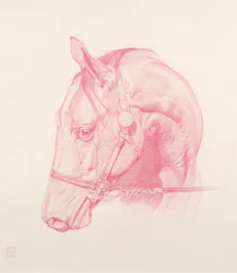 Portrait Head, 2010 (giz vermelho sobre papel)