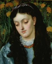 A bela Wallflower