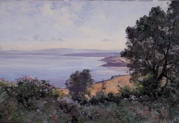 Douarnenez trigo e árvores em vista