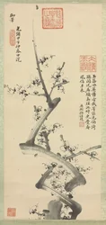 Flores de ameixa, 1894