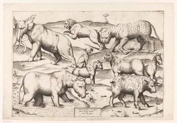 Nove animais Animais a pinturas murais antigas (título da série) Speculum Romanae Magnificentiae (título da série)
