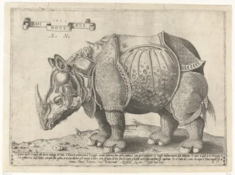 Neushoorn Rhinocerus (título no objeto)