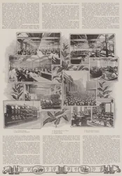 Uma lição sobre objetos britânicos