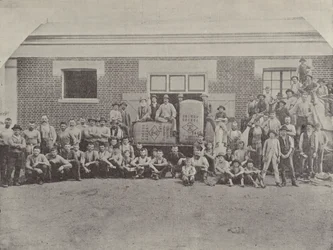 Um grupo de tosquiadores
