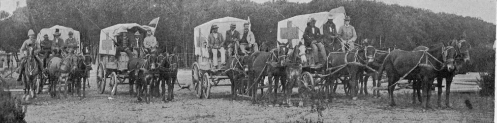 Vagões de Ambulância saindo do Hospital da Peste na Cidade do Cabo, ilustração de O Rei, 25 de maio de 1901