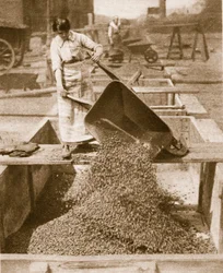 Ajudar em casa por heróis no exterior, foto 1914-19 bw)