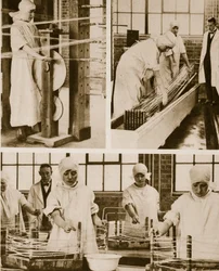 Preparando Cat-Gut na própria fábrica dos Hospitais de Londres (foto sépia)