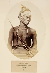 Rengma Naga, Marauding Hill Tribe, Assam, de The People of India, de J. Forbes Watson, publicado em 1868 (impressão de albume)