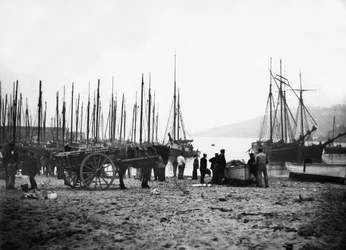 Porto de St Ives olhando para a baía de Carbis, c.1880-99