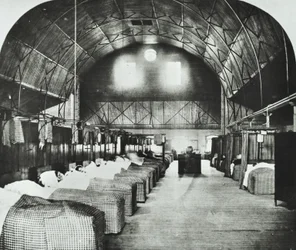 St Thomass Hospital: ala temporária no Surrey Gardens Music Hall, 1868
