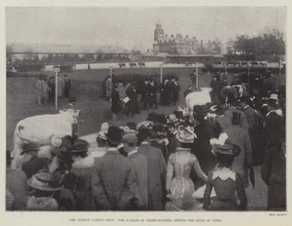 O Dublin Cattle Show, o desfile de vencedores do prêmio antes do Duque de York