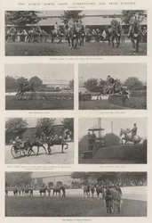 O Dublin Horse Show, Concorrentes e Premiados