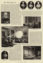 The Royal Society