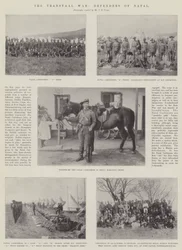 A Guerra do Transvaal, Defensores do Natal