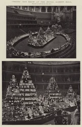 Verdade Toy Show no Royal Albert Hall