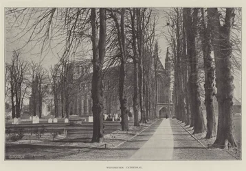 Catedral de Winchester