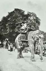 Jardins Zoológicos, Regents Park: passeios de elefante, Londres, c.1895