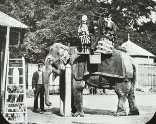 Jardins Zoológicos, Regents Park: elefante com adultos e crianças passeando, zoológico de Londres, 1894