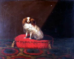 Um Rei Charles Spaniel em uma almofada vermelha, Escola Provincial