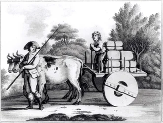 Uma quinta portuguesa, de uma visão geral do Estado de Portugal por James Murphy, publicada em 1797