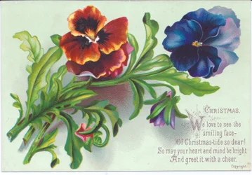 Um cartão de Natal vitoriano de um spray em pansies, c.1880