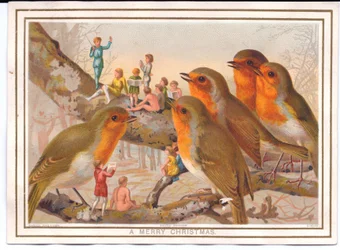 Um cartão de Natal vitoriano de cinco piscos de peito vermelho empoleirar-se em um galho ouvindo uma banda de fadas, c.1880