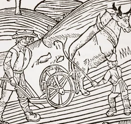 Um par de bois amarrado a um arado, título de John Fitzherberts Boke of Husbandry, primeiro pub. 1523
