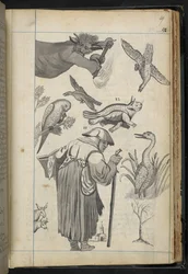 Acrescentar MS 32496 f.49r Ilustração de 