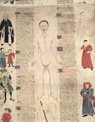 Diagrama anatômico de De arte phisicali e de cirugia de John Ardene, 1412