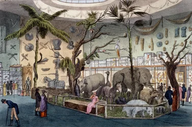 Bullocks Museum, 22 Piccadilly, Londres, do Ackermanns Repository of Arts, 1809
