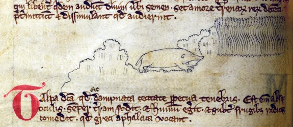 CCA-LitMs - D - 10 fol. 11v Mole, do Bestiário