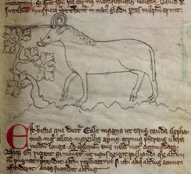 Lit-CCA - D - 10 fol. 4r Yale, de Bestiary