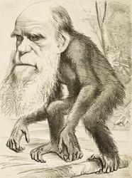 Caricatura de Charles Darwin