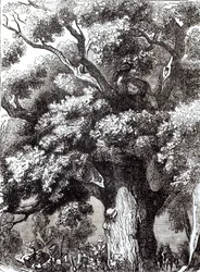 Charles II (1630-85), escondido no carvalho, 14 de outubro de 1651