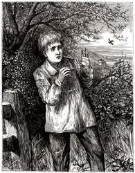 Criança assustada por uma abelha - ilustração, início do século XX.