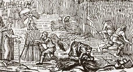 Xilogravura contemporânea, mostrando a colheita