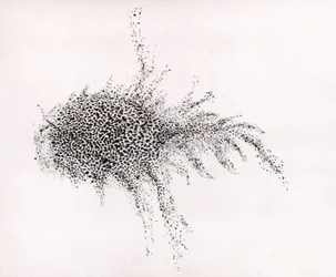 "Nebulosa do Caranguejo" por William Parsons, de "Observations on some of the Nebulae" das "Philosophical Transactions of the Royal Society