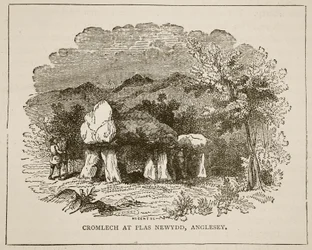 Cromeleque para Plas Newydd, Anglesey