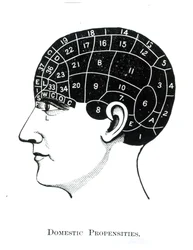 Propensões domésticas