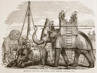 Elefante equipado para a batalha, com a armadura, o howdah, etc., ilustração da história ilustrada Cassells da Índia por James Grant, bar. 1879
