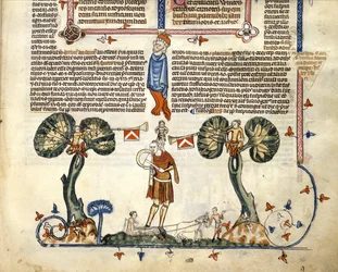 F.94 Homem a tocar um Fife and Drum, dos Smithfield Decretals, c.1340 (vellum)