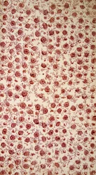 Papel Floral (gravura colorida à mão)