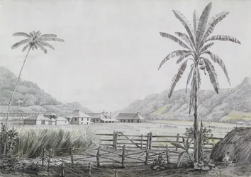 Halse Hall, Jamaica, c.1780 (wc e grafite sobre papel)