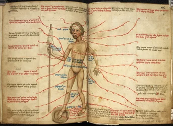 Harley 3719, ff.158v-159 Miniatura de um sangrador com um pé em uma panela sangrando e um fuso na mão, ilustração de 