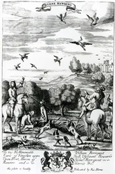 Herne hawking, de &39;The Gentleman&39;s Recreation&39; publicado por Richard Blome, 1686 (gravura)