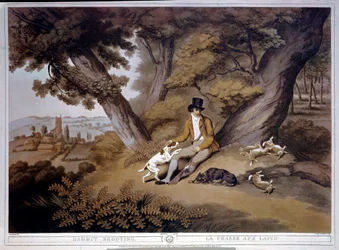 Caça aos coelhos em Inglaterra. Gravura do século XIX. Gien, museu da caça