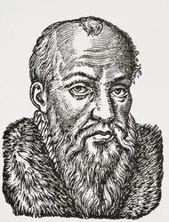 Jacques de Cujas, 1878 (litho)
