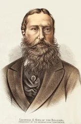 Leopold II, rei dos belgas, ilustração da edição pictórica da vida e das descobertas de David Livingstone por J. Ewing Richie, bar. por A. Fullarton & Co., 1876