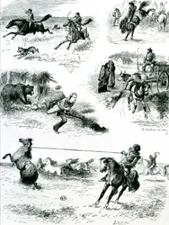 A vida em Manitoba, 1877