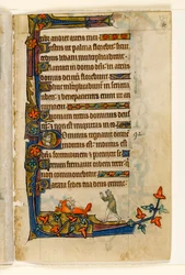 MS 1-2005, fol. 134r: Uma raposa fugindo com o pato de esposa de agricultores, decoração marginal do saltério de Macclesfield, uso de Sarum, East Anglia, c.1330
